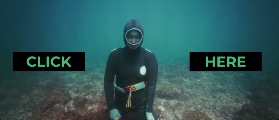 Aus dem Trailer der NATOURALE 26