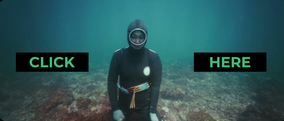 Aus dem Trailer der NATOURALE 26